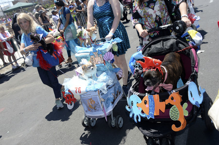 Mermaid Parade 2018 in New York