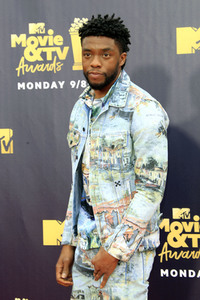 MTV Movie & TV Awards 2018 in Santa Monica