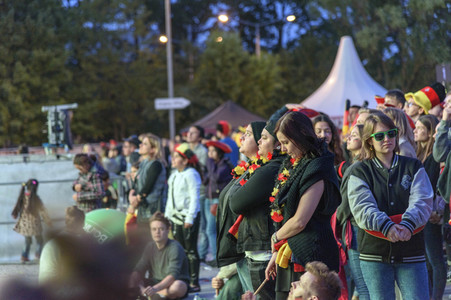 FIFA World Cup Public Viewing Deutschland gegen Schweden in Nürnberg
