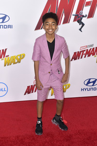 Filmpremiere 'Ant-Man and The Wasp' in Los Angeles