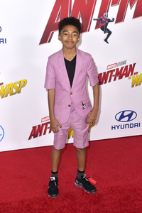 Filmpremiere 'Ant-Man and The Wasp' in Los Angeles