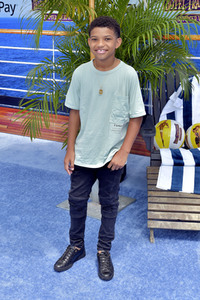 Filmpremiere 'Hotel Transsilvanien 3 - Ein Monster Urlaub' in Los Angeles