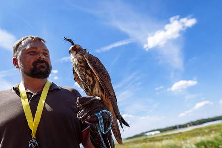 Symbolfoto Vogelvergrämung