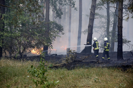 Waldbrände in Potsdam