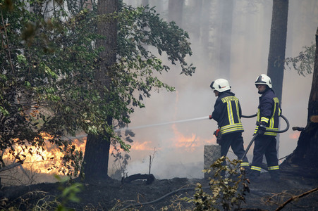 Waldbrände in Potsdam
