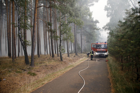 Waldbrände in Potsdam