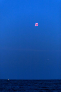 Totale Mondfinsternis