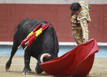 Stierkampf in Pontevedra