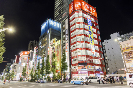 Sightseeing Tokio