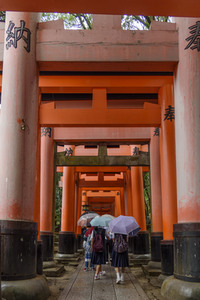 Sightseeing Kyoto