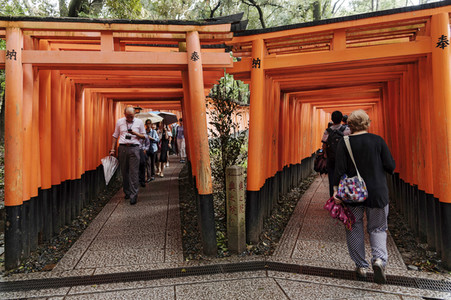 Sightseeing Kyoto