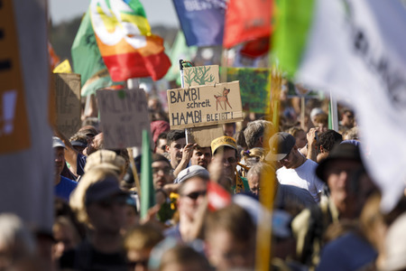 Großdemo 'Wald retten - Kohle stoppen' am Hambacher Wald