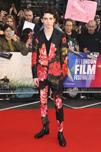 Filmpremiere 'Beautiful Boy', BFI London Film Festival 2018