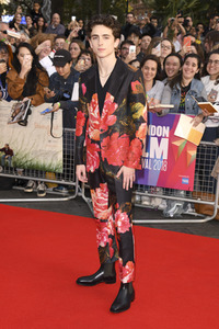 Filmpremiere 'Beautiful Boy', BFI London Film Festival 2018