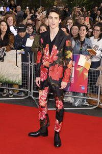 Filmpremiere 'Beautiful Boy', BFI London Film Festival 2018