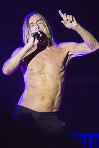 Konzert von Iggy Pop in Hamburg