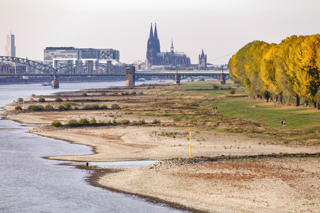 Niedrigwasser im Rhein in Köln