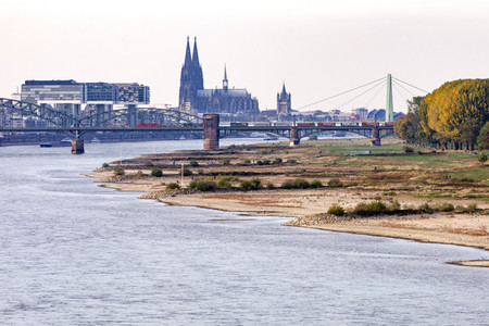 Niedrigwasser im Rhein in Köln