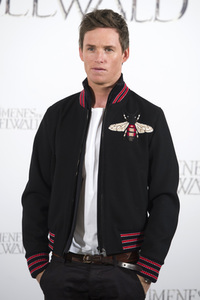 Photocall 'Phantastische Tierwesen: Grindelwalds Verbrechen' in Madrid