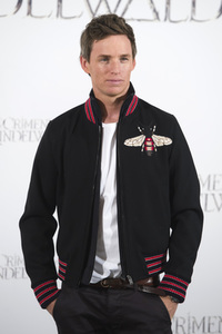 Photocall 'Phantastische Tierwesen: Grindelwalds Verbrechen' in Madrid