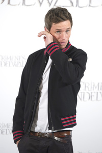 Photocall 'Phantastische Tierwesen: Grindelwalds Verbrechen' in Madrid