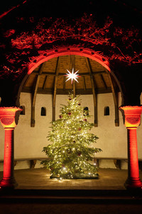 Eröffnung des Christmas Garden 2018 in Berlin
