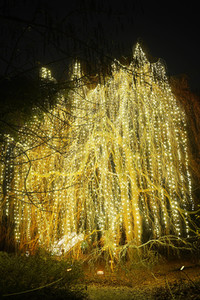 Eröffnung des Christmas Garden 2018 in Berlin