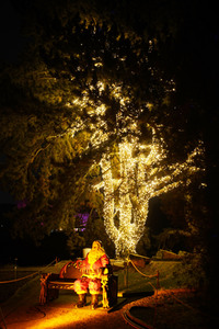 Eröffnung des Christmas Garden 2018 in Berlin
