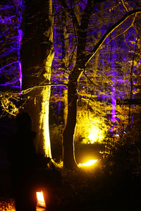 Eröffnung des Christmas Garden 2018 in Berlin