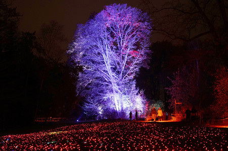 Eröffnung des Christmas Garden 2018 in Berlin