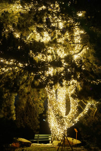 Eröffnung des Christmas Garden 2018 in Berlin