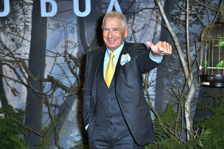 Filmpremiere 'Bird Box' in Berlin