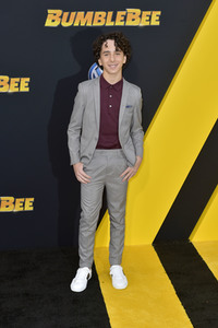 Filmpremiere 'Bumblebee' in Los Angeles