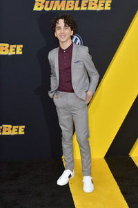 Filmpremiere 'Bumblebee' in Los Angeles