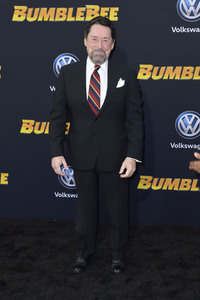 Filmpremiere 'Bumblebee' in Los Angeles