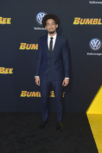 Filmpremiere 'Bumblebee' in Los Angeles