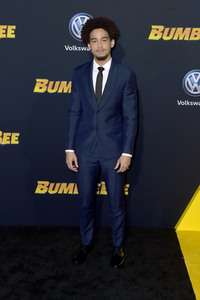 Filmpremiere 'Bumblebee' in Los Angeles