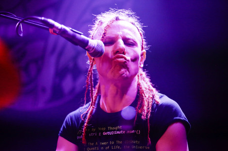 Konzert von Abstürzende Brieftauben in Hamburg