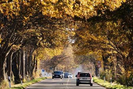 Symbolbild Landstraße