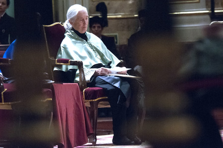 Ehrendoktorwürde für Jane Goodall in Madrid