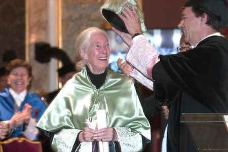 Ehrendoktorwürde für Jane Goodall in Madrid