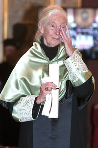 Ehrendoktorwürde für Jane Goodall in Madrid