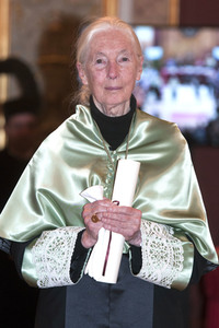 Ehrendoktorwürde für Jane Goodall in Madrid