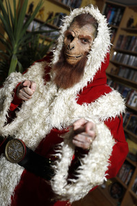 GEEK ART: Santa Ape