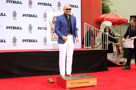 Hand and Footprint Ceremony mit Pitbull in Los Angeles