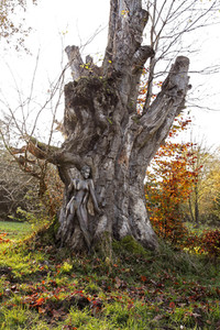 NATURE ART: Herbst / Autumn Bodypainting