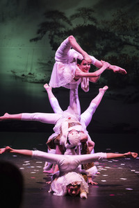 Premiere der Jubiläumsshow '30 Jahre Chinesischer Nationalcircus' in Hannover