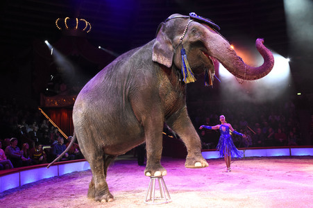 Premiere 1. Winterprogramm 2018 Circus Krone in München