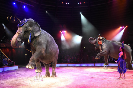 Premiere 1. Winterprogramm 2018 Circus Krone in München