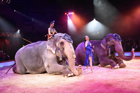 Premiere 1. Winterprogramm 2018 Circus Krone in München